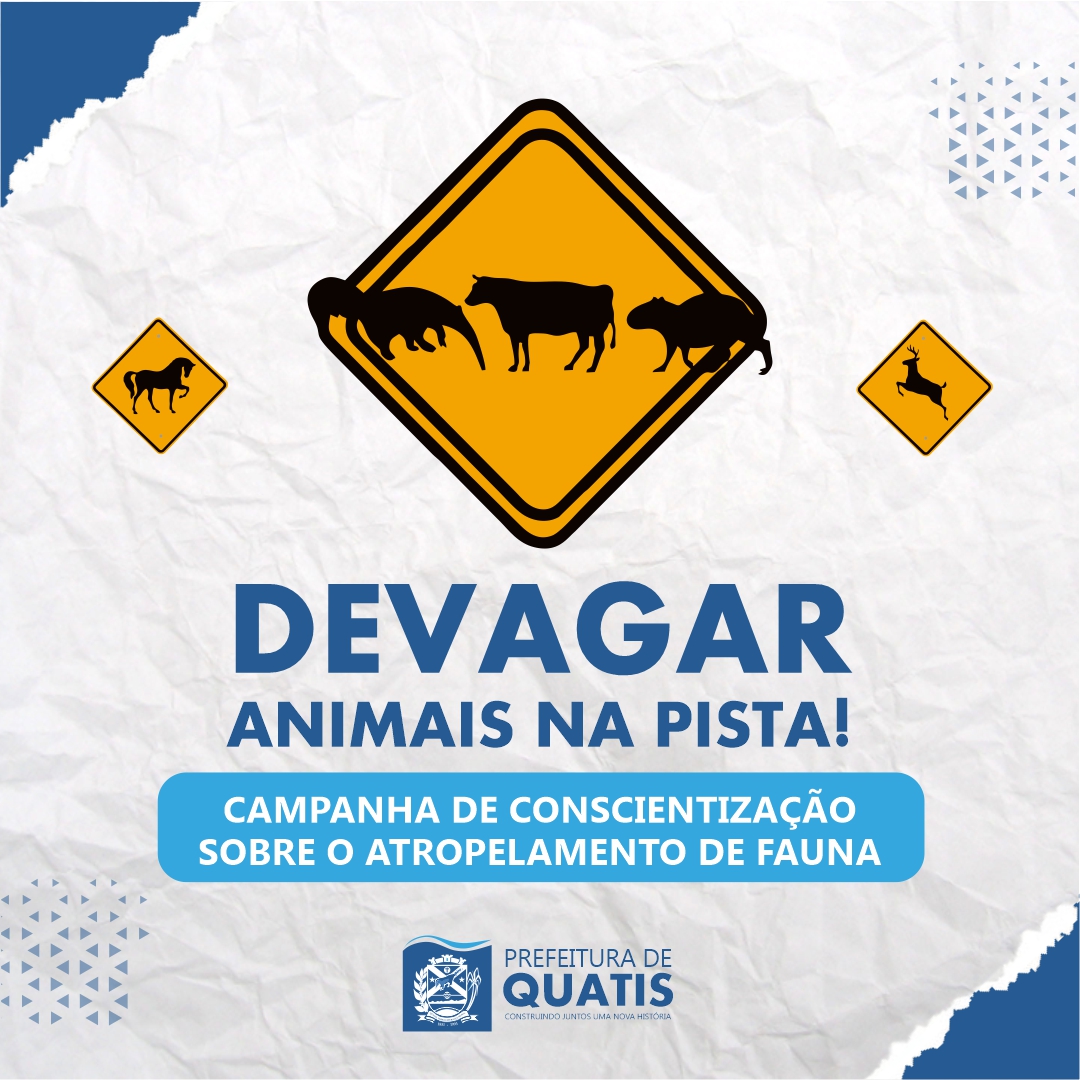 Campanha De Conscientiza O Sobre O Atropelamento De Fauna Prefeitura