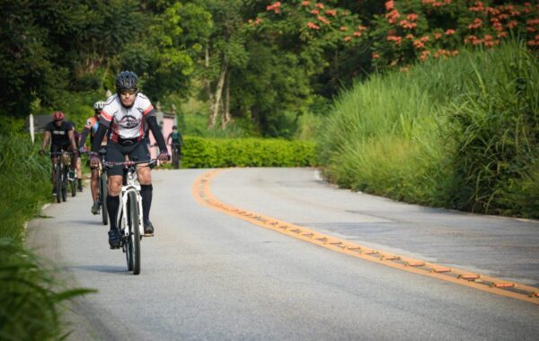 quatis_joaquim_leite-1