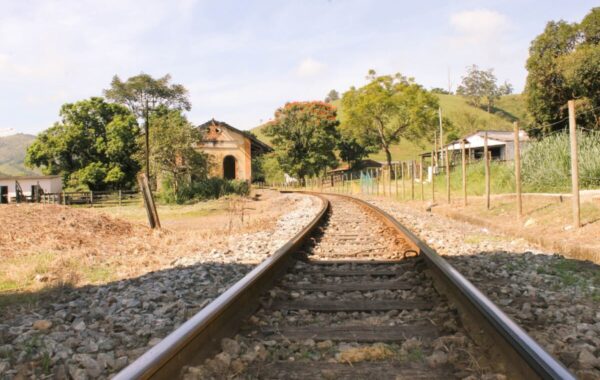 quatis_joaquim_leite-4