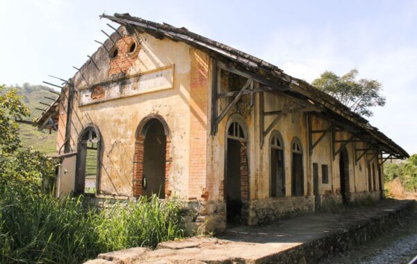 quatis_joaquim_leite-5