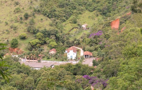 quatis_sao_joaquim-2