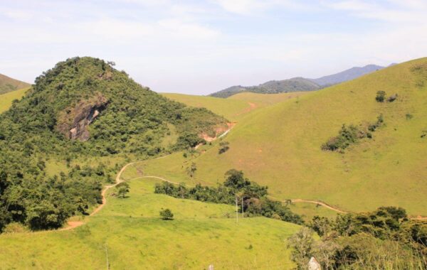 quatis_sao_joaquim-3