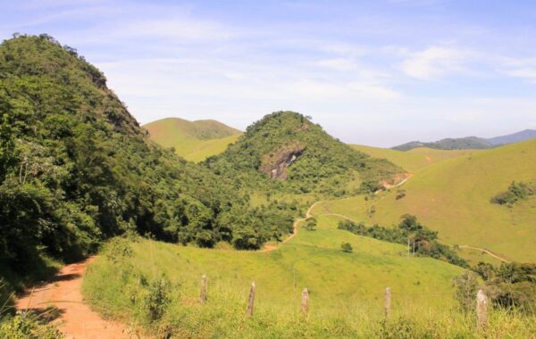 quatis_sao_joaquim-4