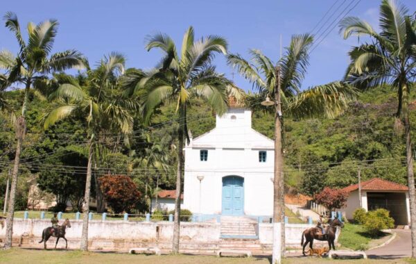 quatis_sao_joaquim-7