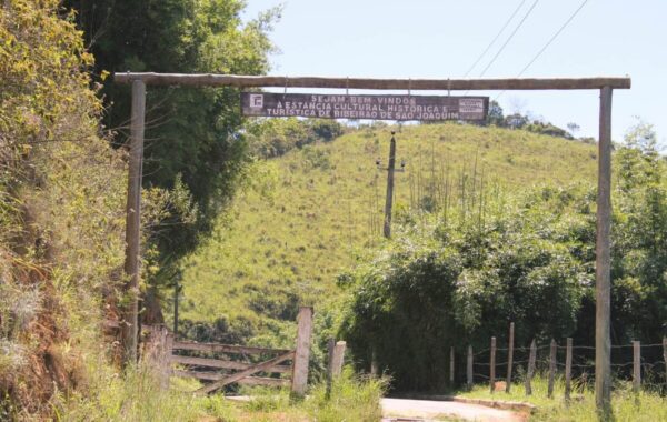 quatis_sao_joaquim-8