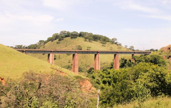 quatis_sao_joaquim-9