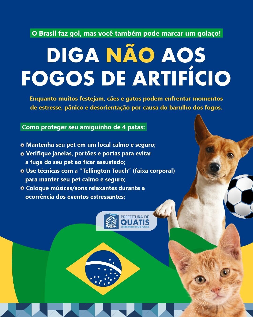 Quatis lança campanha ligada aos gols do Brasil e incentiva regularização