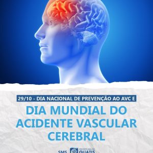 WhatsApp Image 2025-10-29 at 08.34.00