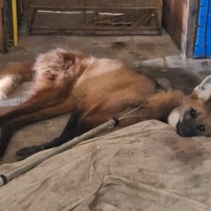 WhatsApp Image 2025-10-30 at 08.21.34 (1) WhatsApp Image 2025-10-30 at 08.21.34 (1)