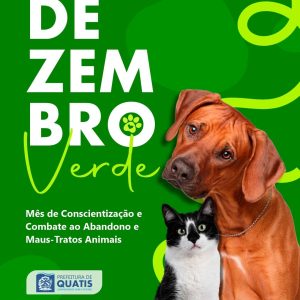 WhatsApp Image 2025-12-02 at 08.45.56