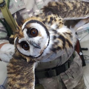 WhatsApp Image 2026-01-20 at 14.13.55