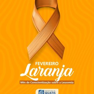 WhatsApp Image 2026-02-06 at 15.16.52