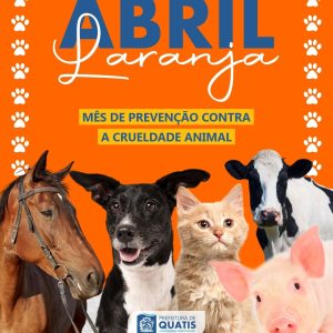 WhatsApp Image 2026-04-02 at 16.58.32