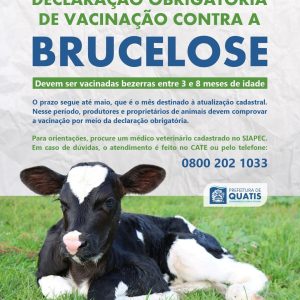 WhatsApp Image 2026-04-09 at 08.35.59