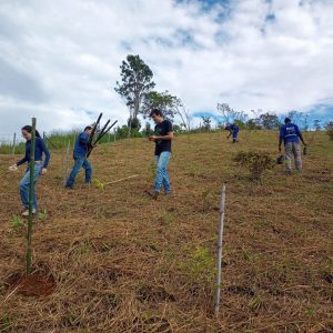 WhatsApp Image 2026-04-10 at 09.26.34